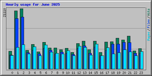 Hourly usage for June 2025
